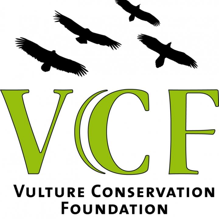 Logo der VCF