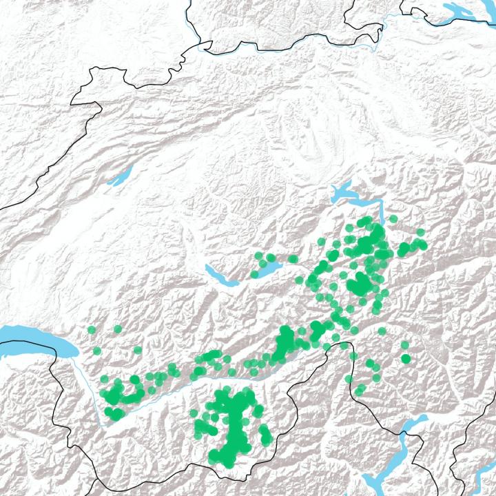 GPS Daten von Luzerna von Januar bis Mai 2021