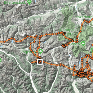 Karte mit den GPS-Lokalisationen der letzten zwei Wochen von Fredueli (weisses Viereck: letzte Position)